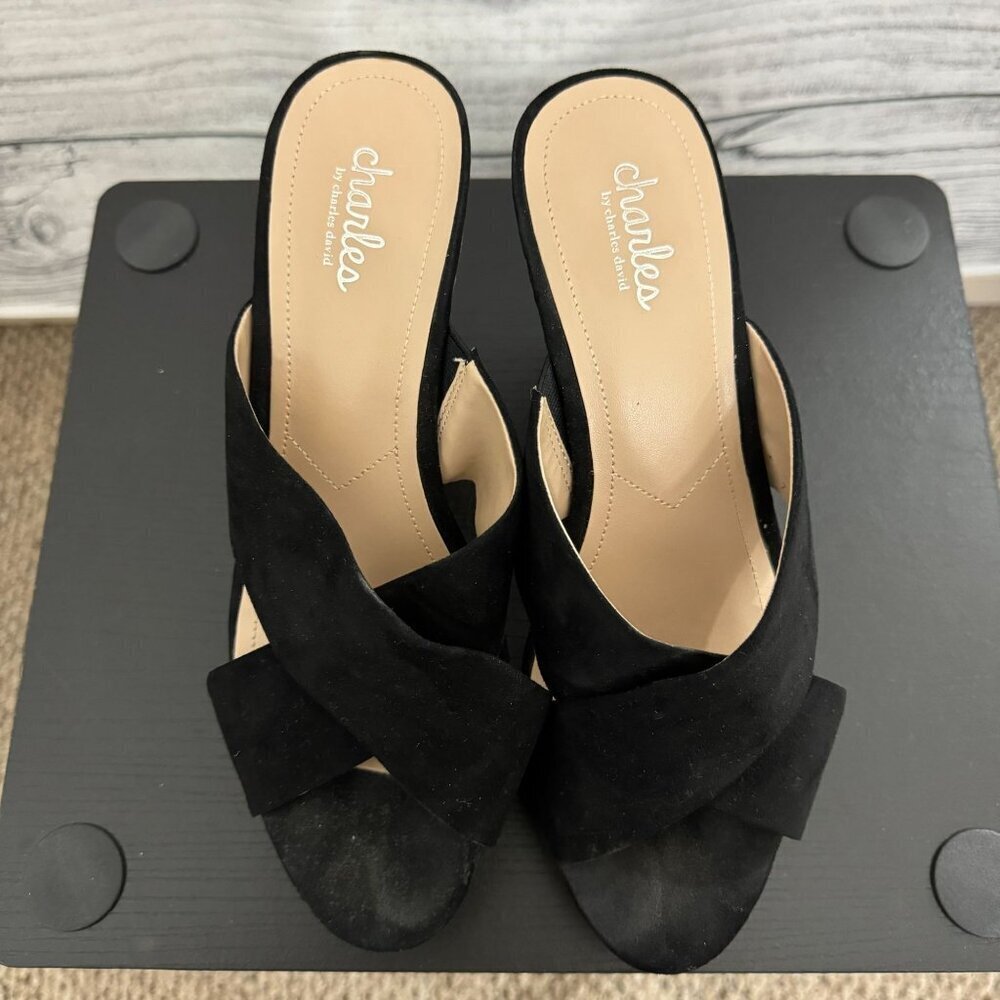 Charles By Charles David Wedge Cork Sandals Size 9.5